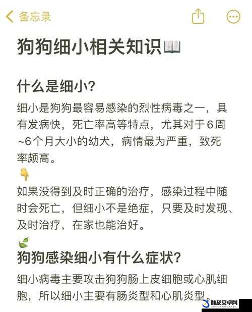 狗狗射速好烫太怕了春雨医生：关于狗狗健康的疑问与解答