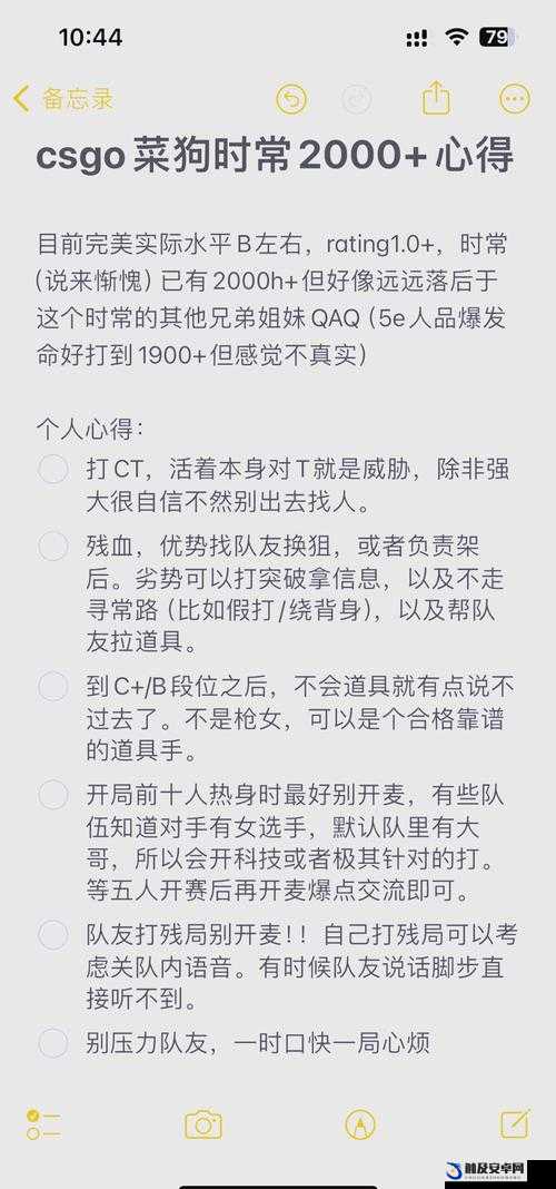 暴躁老奶奶CSGO技巧详解：从入门到精通的进阶之路