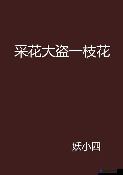 由探花 xx xxx 改编的小说：探花 xx xxx 的官场奇谋