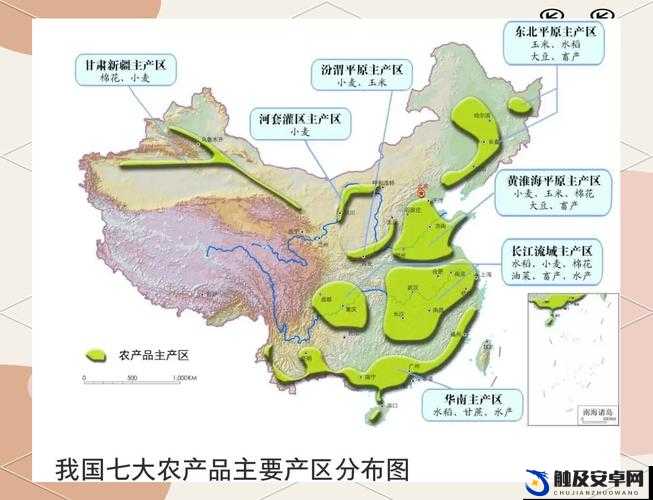 精产国品一二三产区 99 的独特魅力与品质呈现