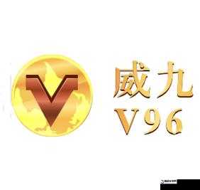 威久国际免费 v78m.ppt 开启留学新征程