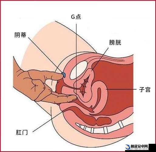 关于淫 69 的独特解读与探讨