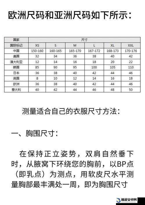 欧洲 M 码与亚洲 S 码之间的尺寸差异分析及对服装行业的影响