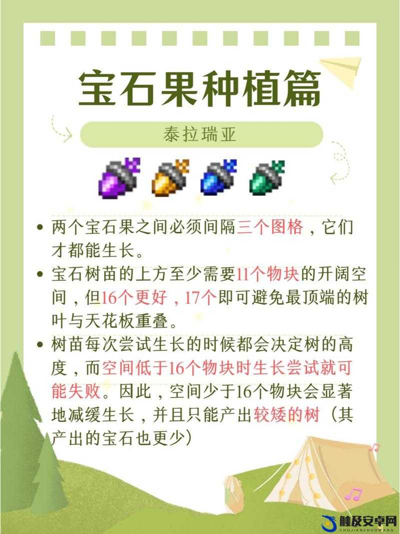 泰拉瑞亚宝石树究竟该如何种植详细攻略